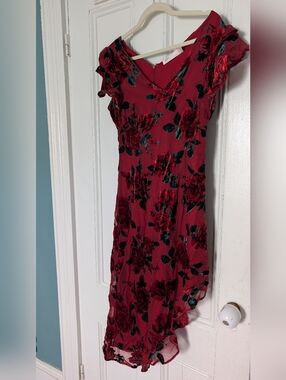 Rachel Parcell Ruffle Asymmetrical Burn Out Velvet Dress Size 8